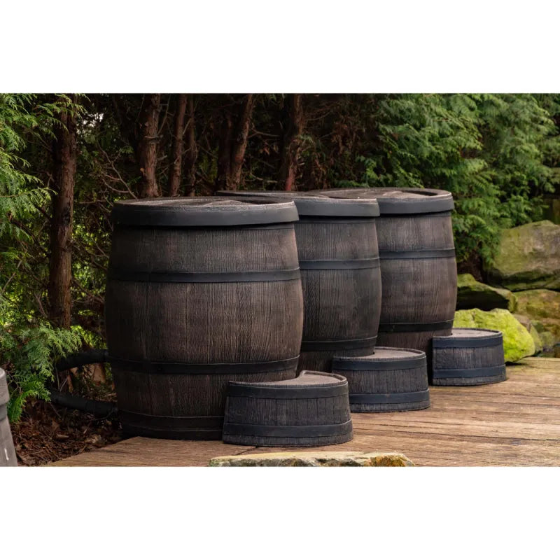Drei dunkelbraune Eisbäder im Barrel-Design von Passion Spas nebeneinander in einer waldigen Umgebung auf einer Holzterrasse, davor zwei kleinere Deckeleimer.