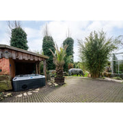 Whirlpool Passion Elevate Eisbad in grau-schwarzem Design unter Unterstand in verwildertem Garten mit exotischen Pflanzen