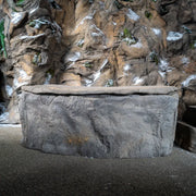 Passion Explore Eisbad aus grauem Naturstein vor rustikaler Steinwand mit Moos und Flechten